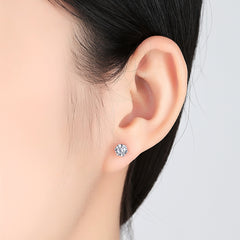 S925 Silver Hearts & Arrows Zircon Silver Stud Earrings