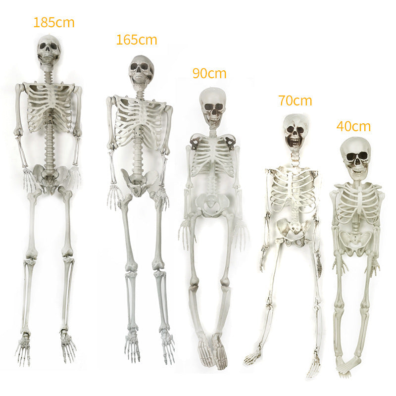 Halloween Plastic Skeleton Skeleton Simulation Human Body