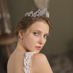 Exquisite Alloy Rhinestone Bridal Crown Wedding Dress